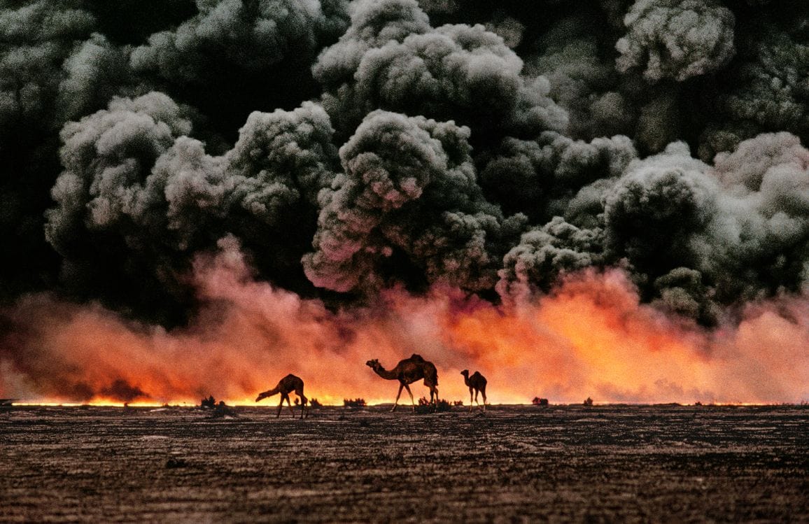 Camels-And-Oil-Fields-Al-Ahmadi-Kuwait-1991-by-Steve-Mccurry-c04907