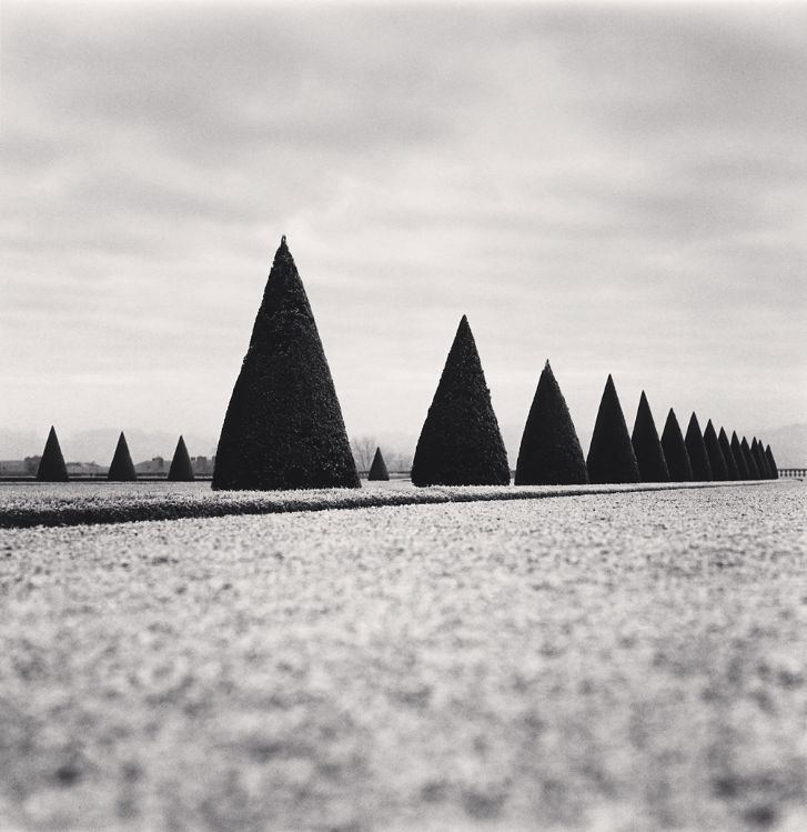 Michael Kenna, 'Eighteen Hedges, Versailles, France, 1998'