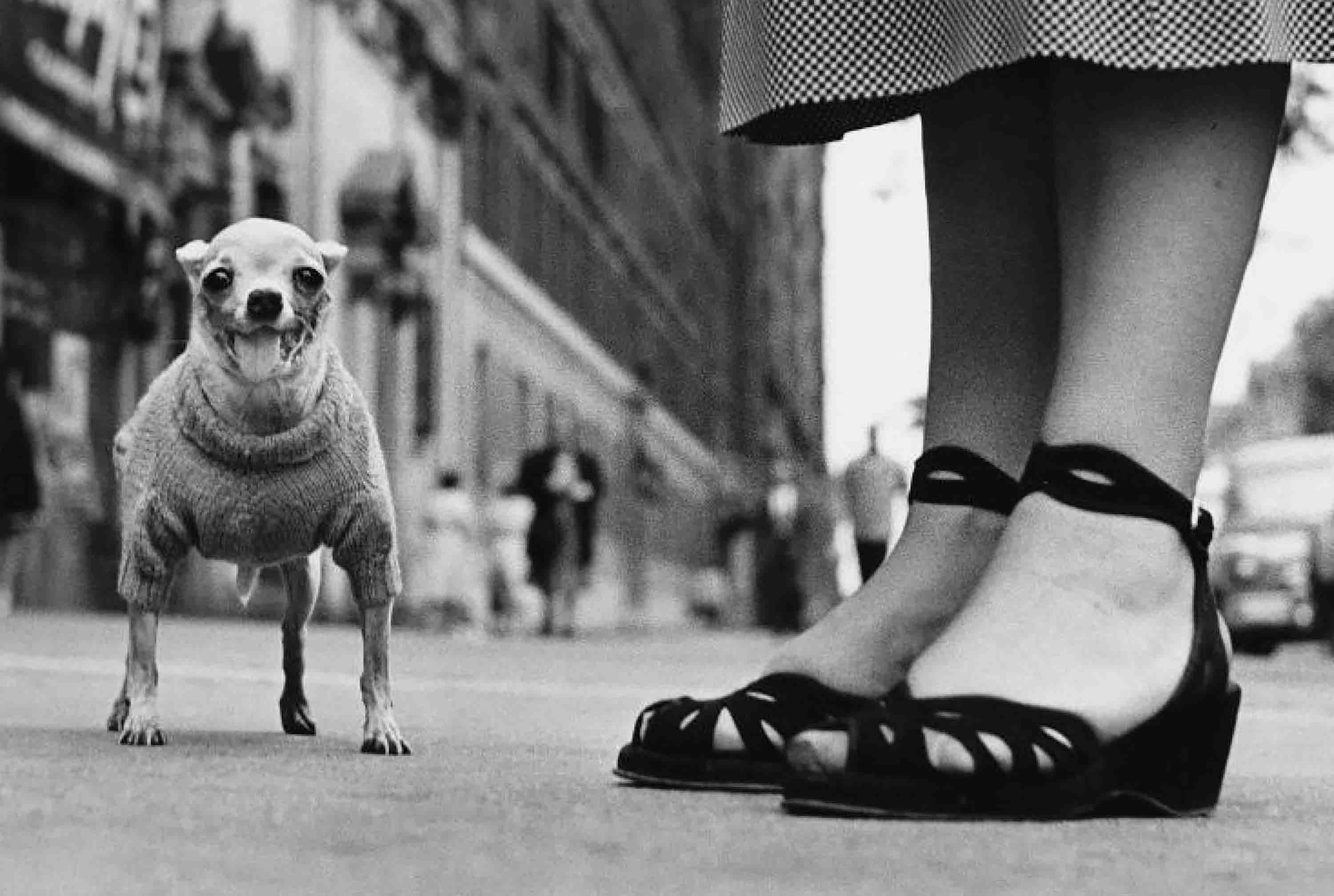 Elliott Erwitt, 'New York City, 1946'