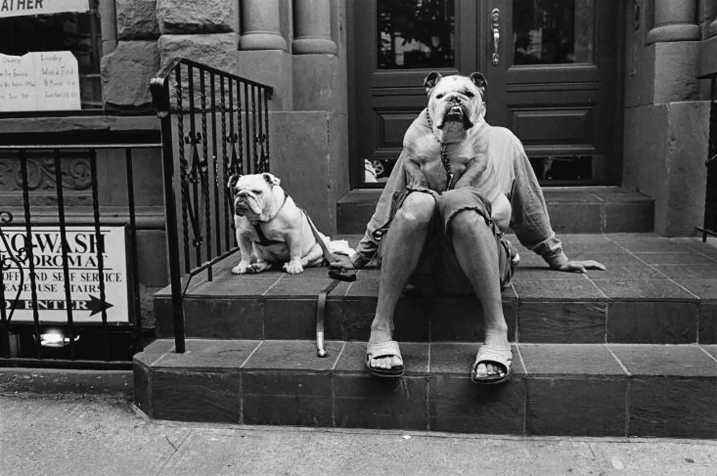 Elliott Erwitt, 'NYC, 2000'