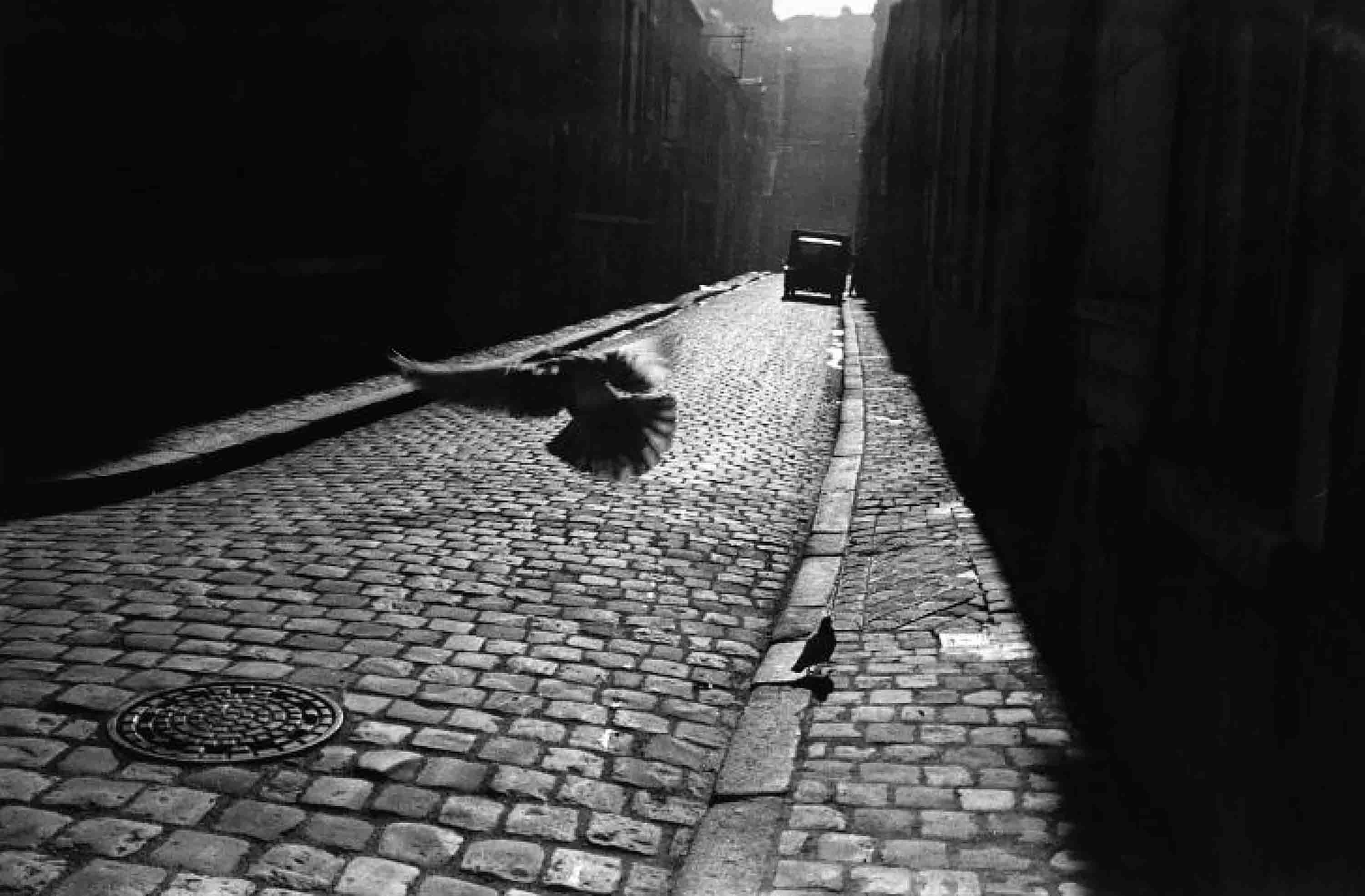 Elliott Erwitt, 'Orleans, France, 1952'