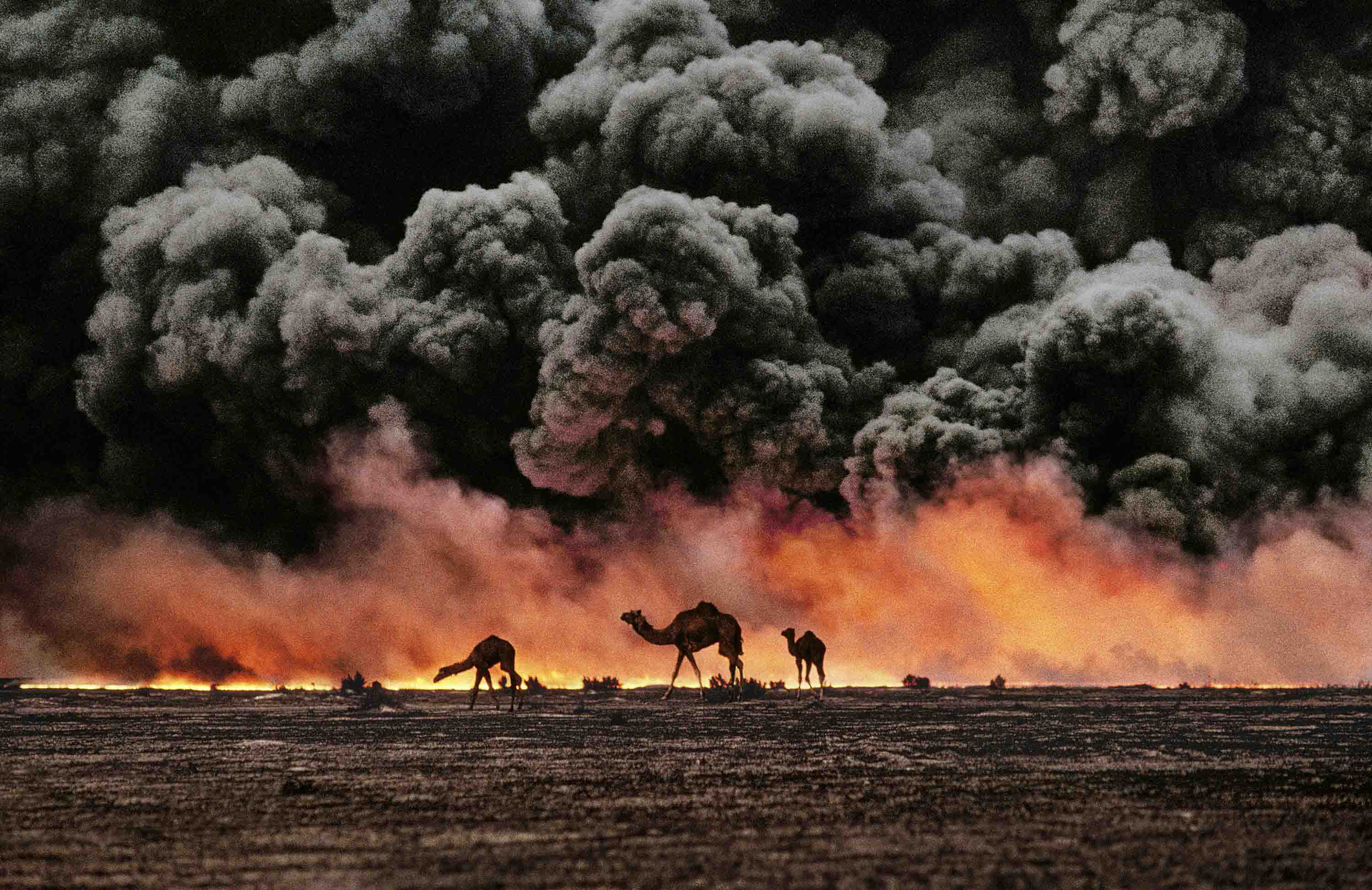 Steve McCurry, 'Holi Festival, Rajasthan, India, 1966'