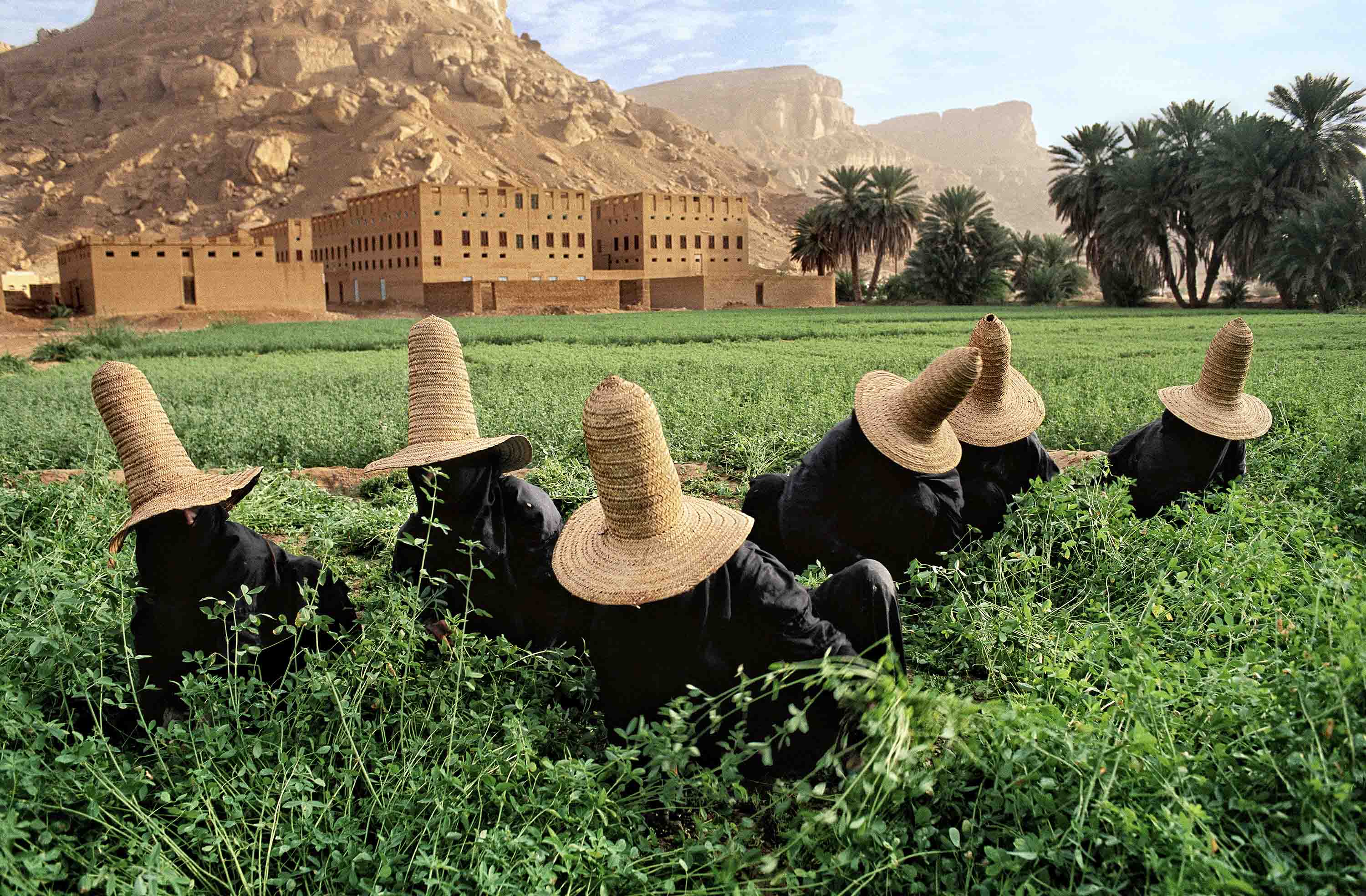 Steve McCurry, 'Clover Gatherers In Wadi, Hadramawt Near Shibam Yemen, 1999'