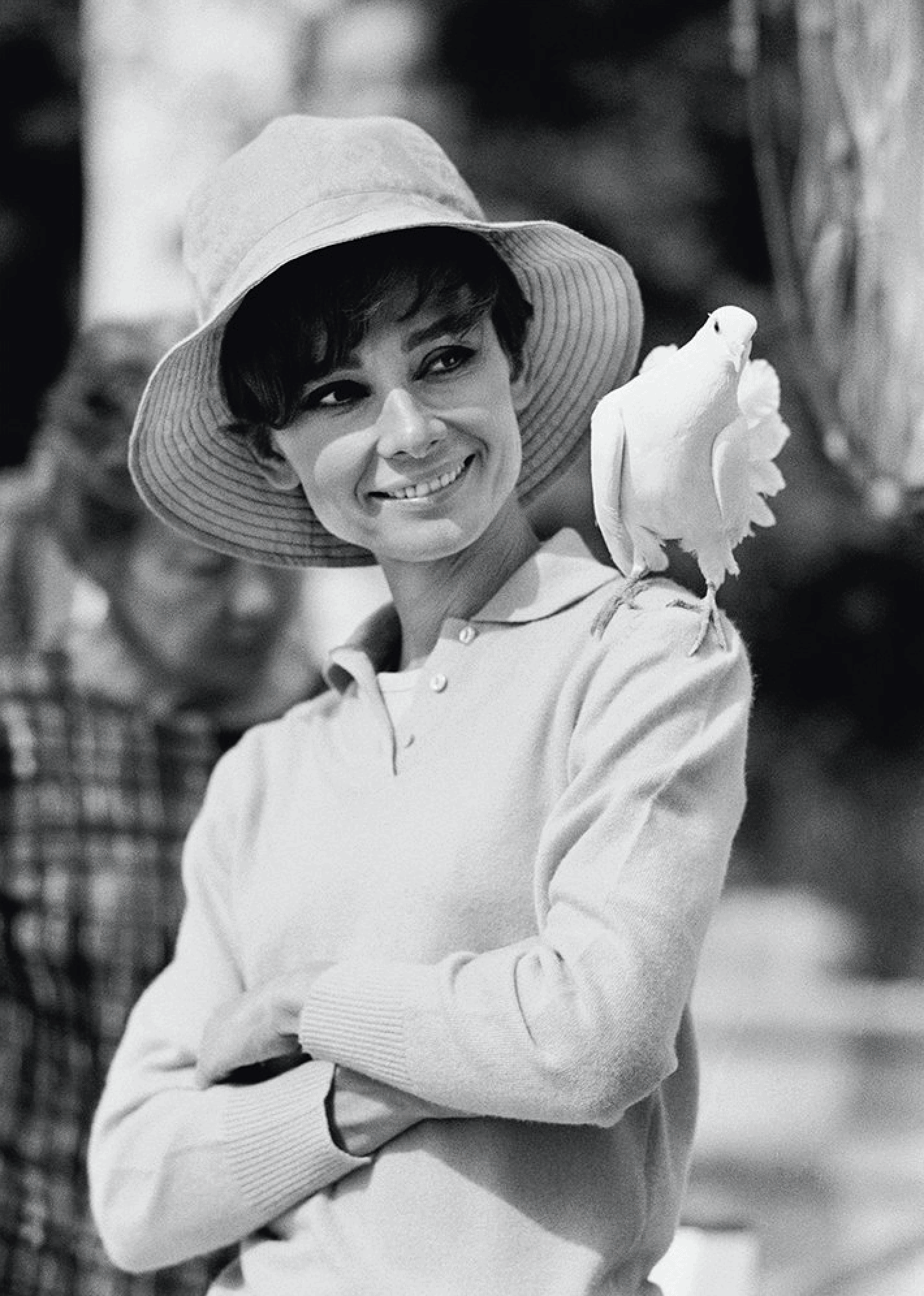 Audrey Hepburn with Dove, ‘Two For The Road’, 1967 Terry O'Neill