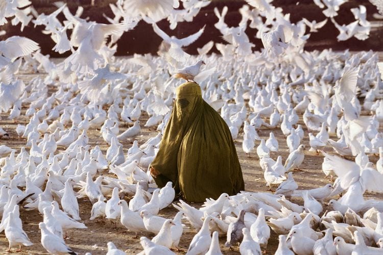 pigeon feeding near blue mosque steve mccurry
