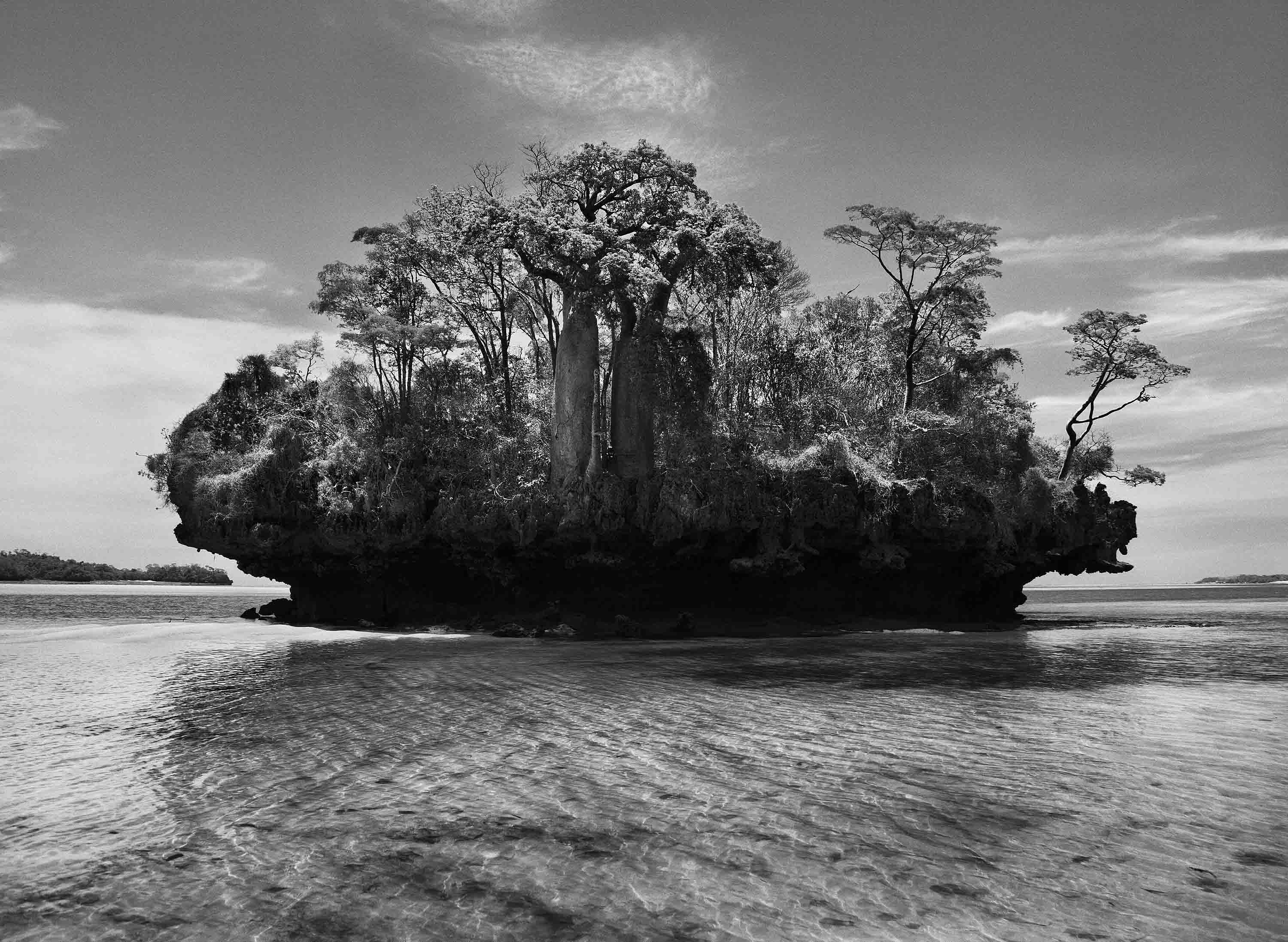 Sebastião Salgado, 'Baobab Trees on a Mushroom Island in the Bay of Moramba, Madagascar, 2010'