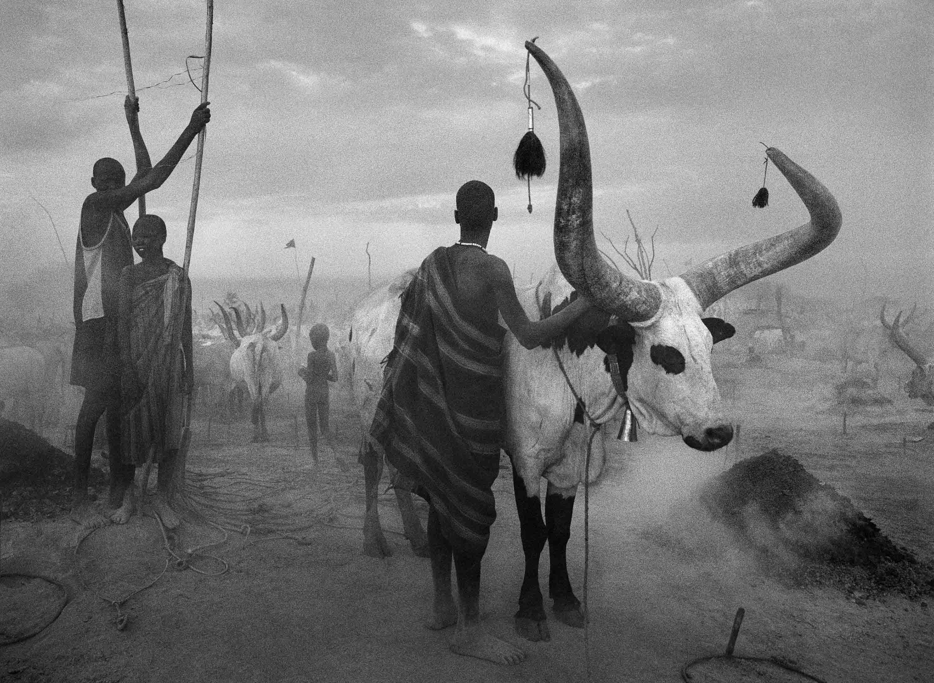 Sebastião Salgado, 'Dinka Cattle Camp of Kei, Southern Sudan, 2006'
