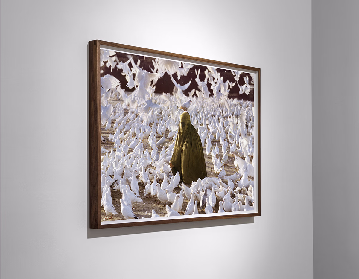 Steve McCurry, 'Pigeon Feeding Near Blue Mosque, 1991'