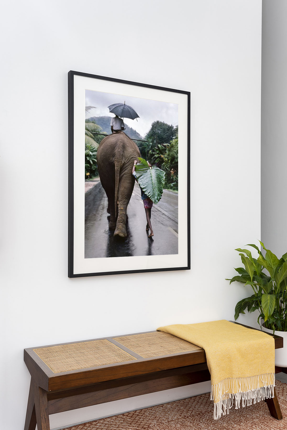 Steve McCurry, 'Young Man Walks Behind An Elephant Sri Lanka, 1995'
