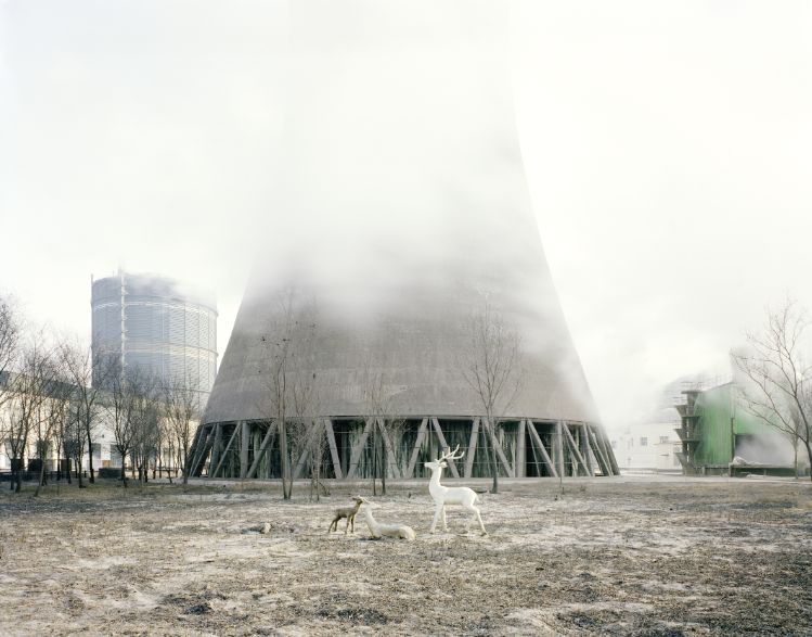 WHITE-DEER-UNDER-A-COOLING-TOWER-INNER-MONGOLIA-2010-by-ZHANG-KECHUN-BHC0793MA