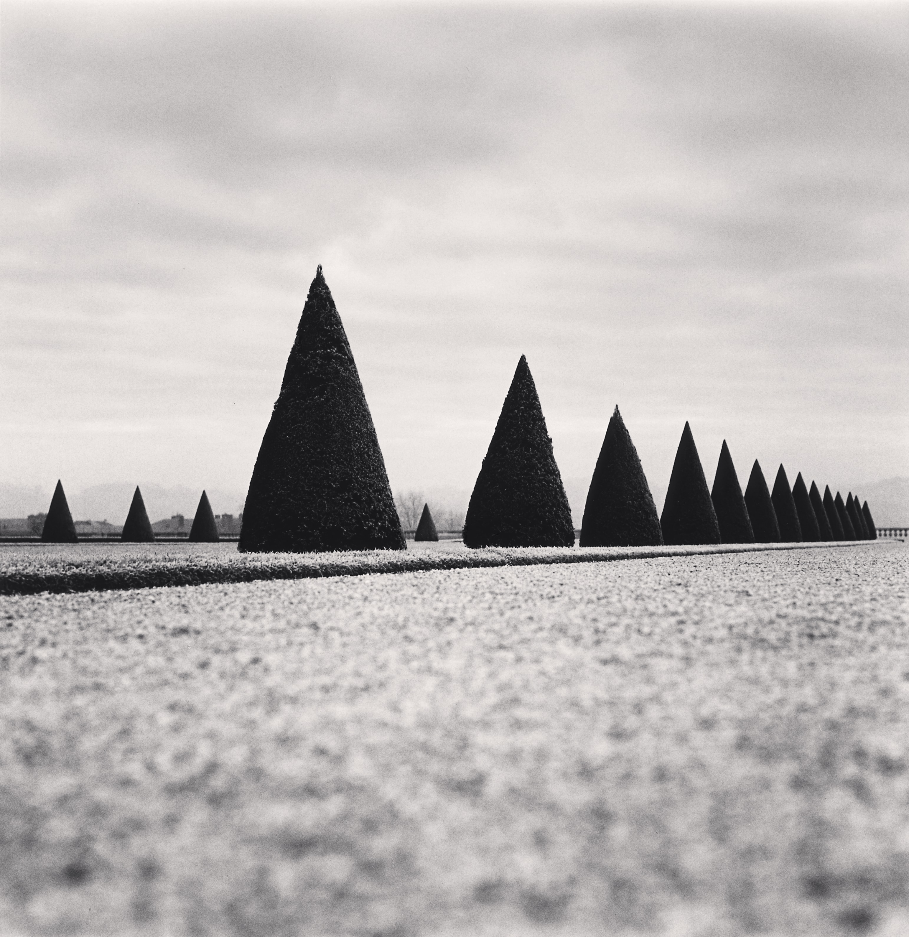 Eighteen Hedges, Versailles, France, 1998 Michael Kenna