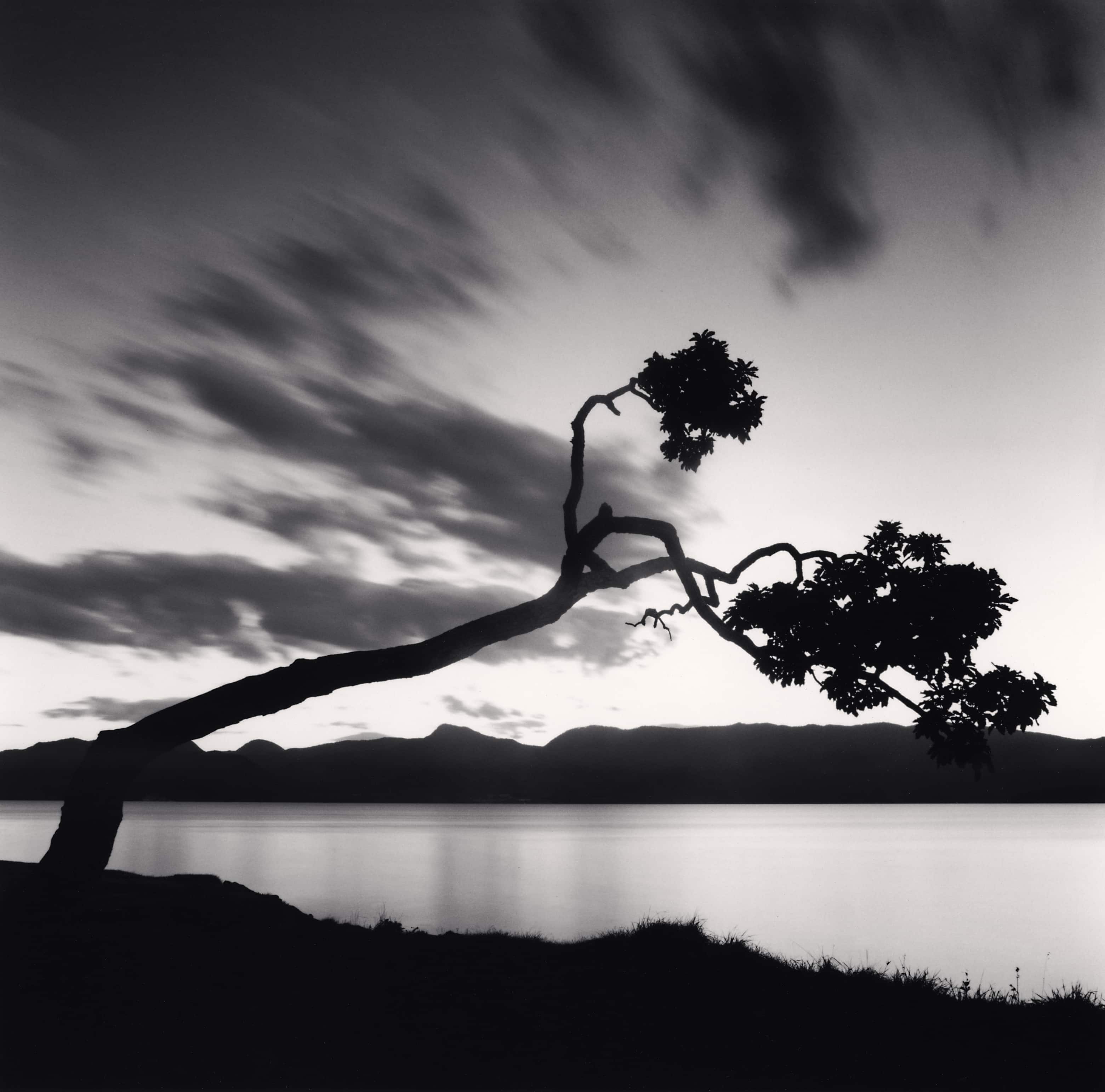 Kussharo Lake Tree, Study 8, Kotan, Hokkaido, Japan, 2008 Michael Kenna