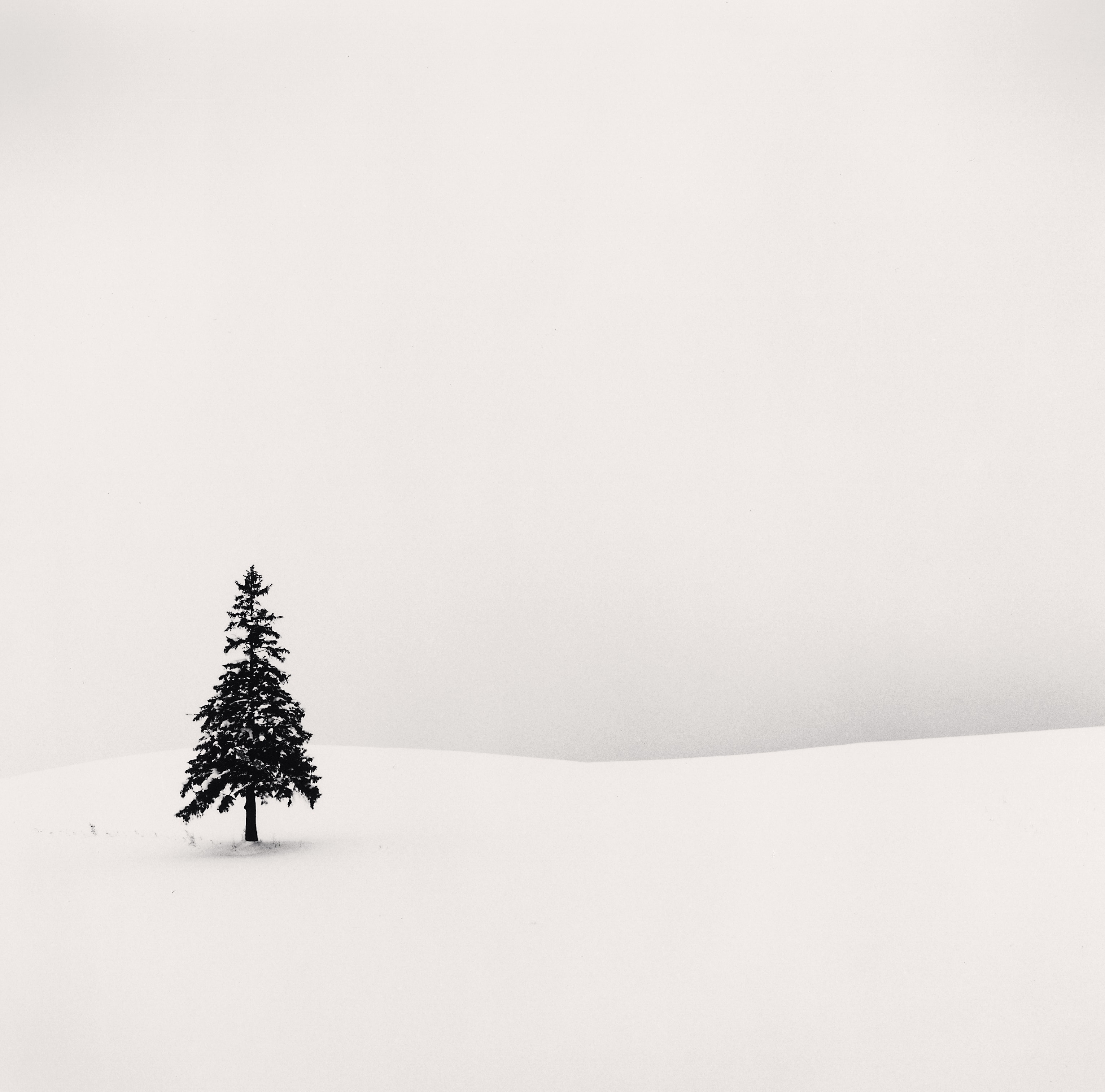 Lone Tree, Bibaushi, Hokkaido, Japan, 2004 Michael Kenna