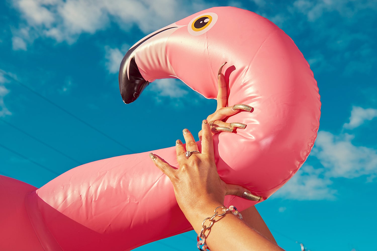 Pink Flamingo, from the series 'The Tourist', 2019-2020 Kourtney Roy