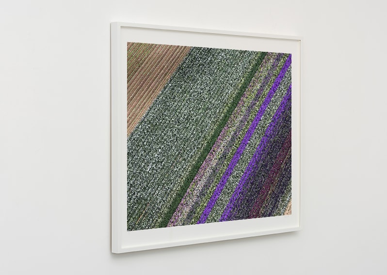 Alex MacLean, 'Flower Fields II, Lompoc, CA 2013'