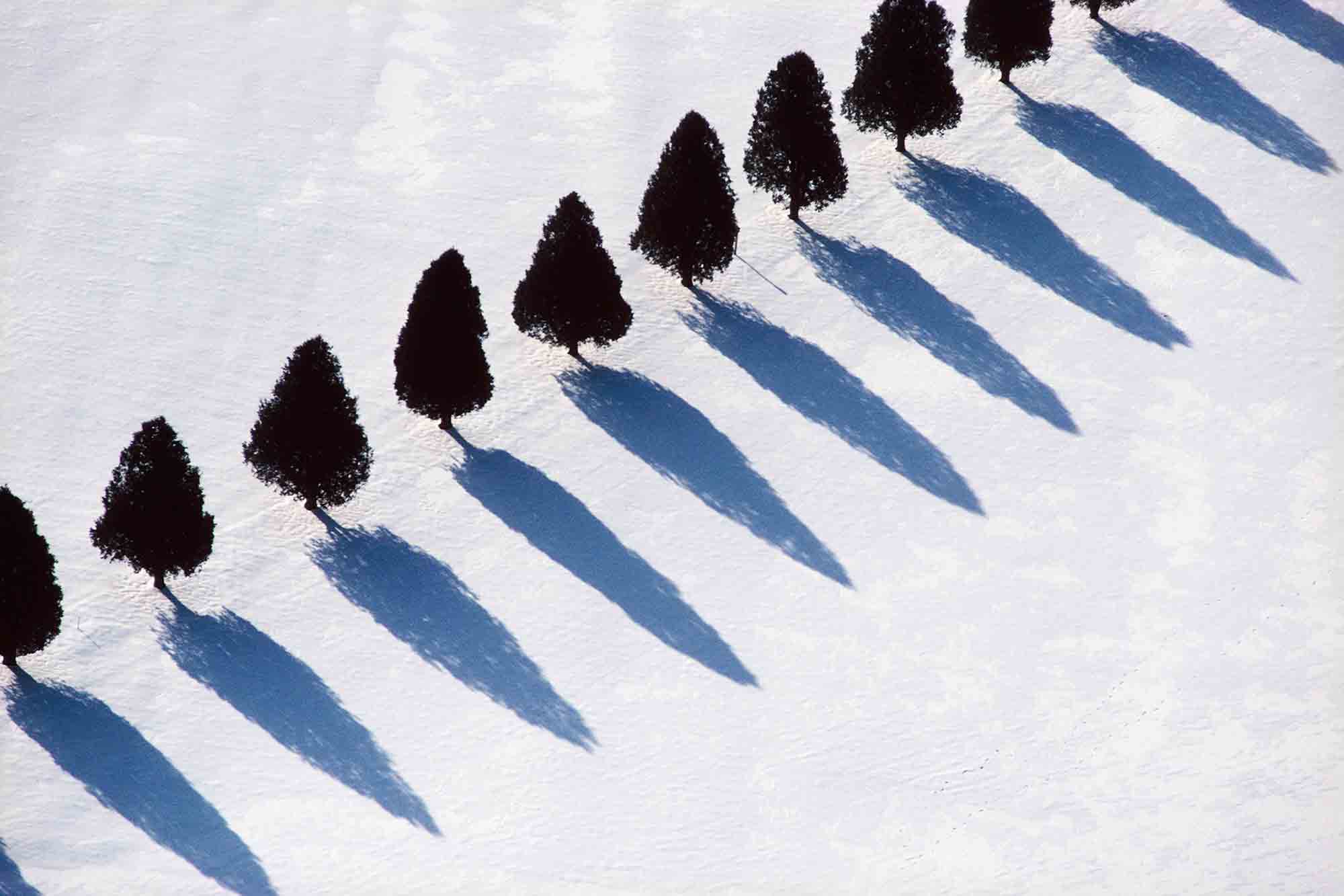 Alex MacLean, 'Tree Shadows in Snow, Middlebury, VT, 1990'