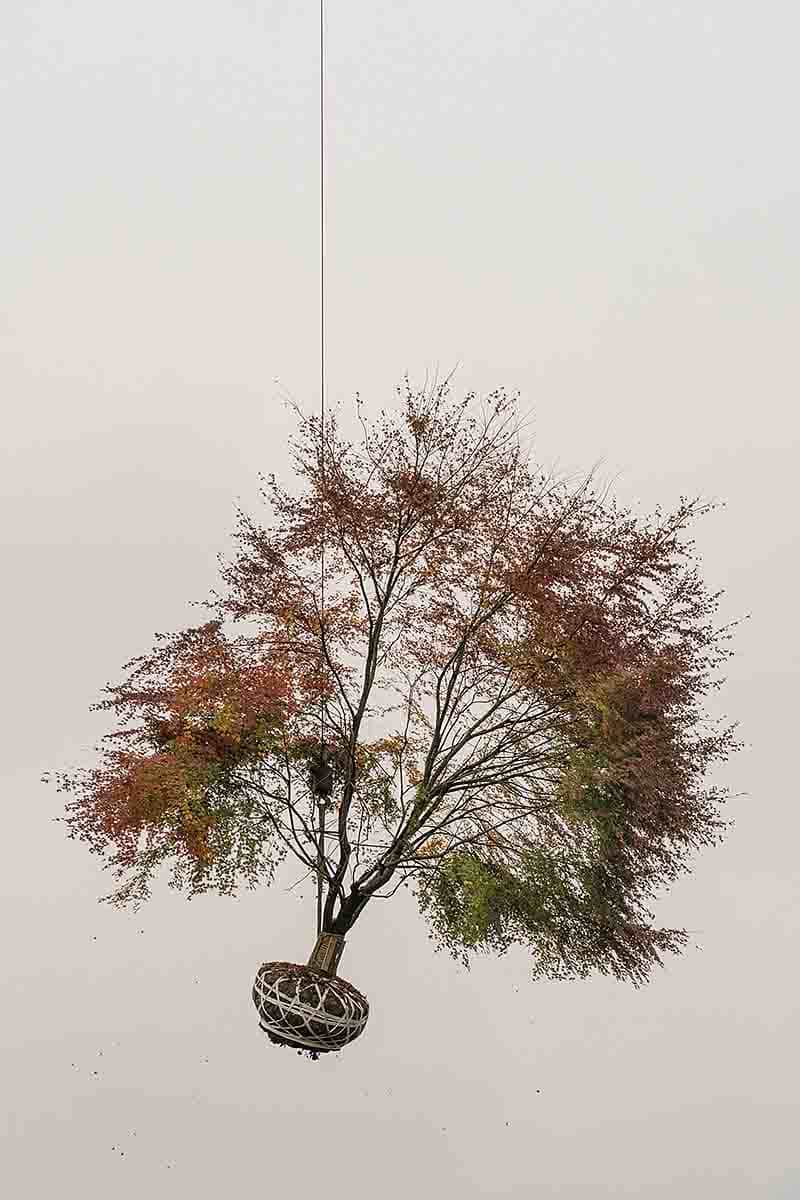 Zhang Kechun 'The Sky Garden'