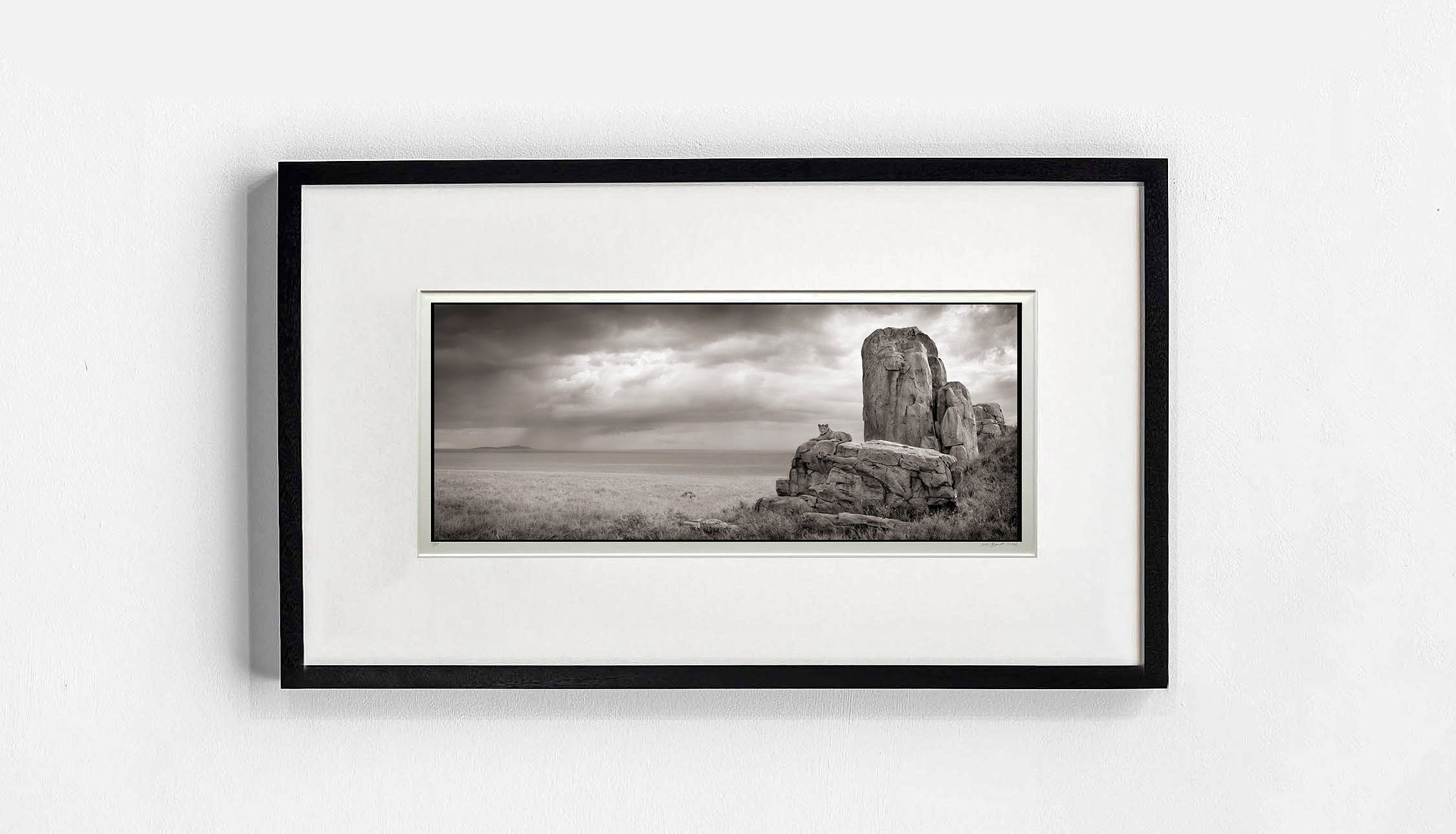 Nick Brandt, 'Lion with Monolith Serengeti'