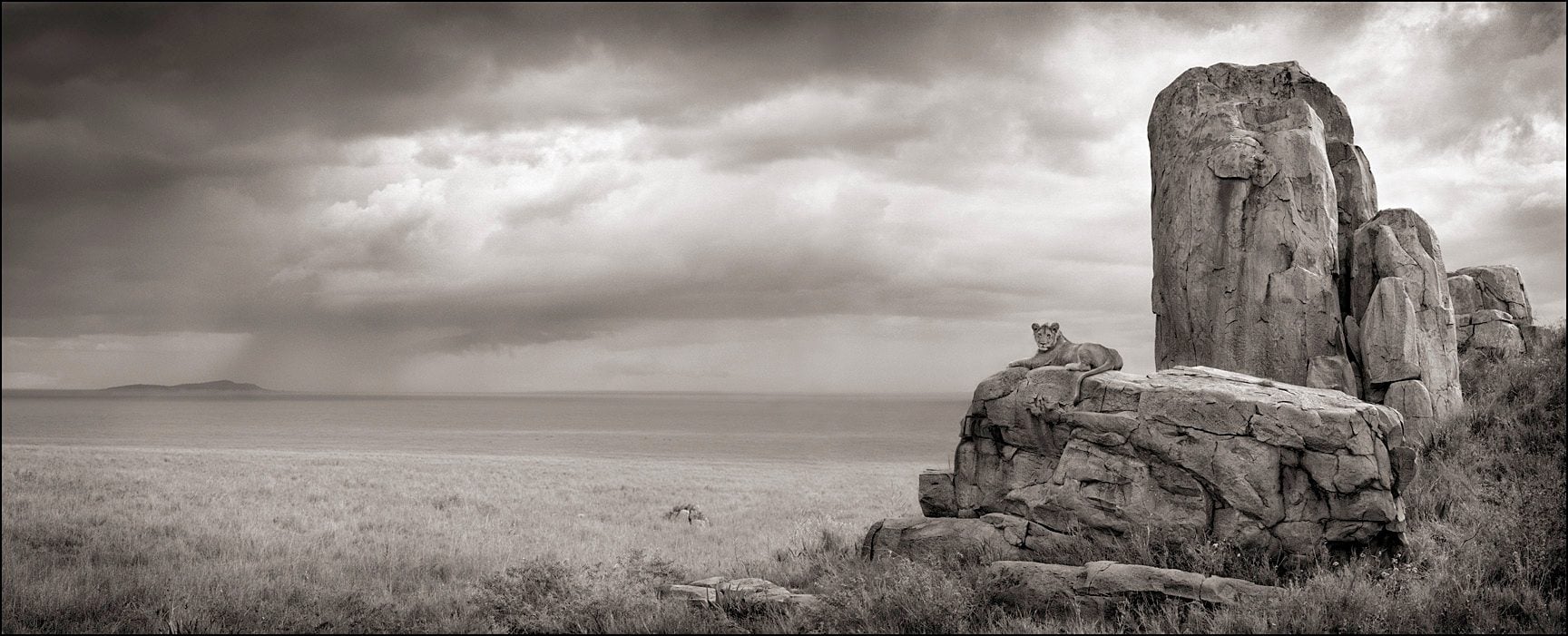 Nick Brandt, 'Lion with Monolith Serengeti'