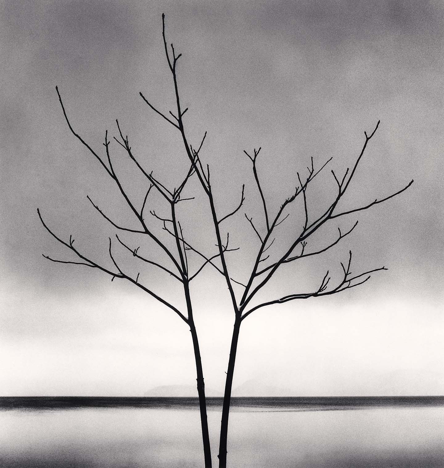 Michael Kenna, 'Bare Tree, Toya Lake, Hokkaido, Japan, 2009'