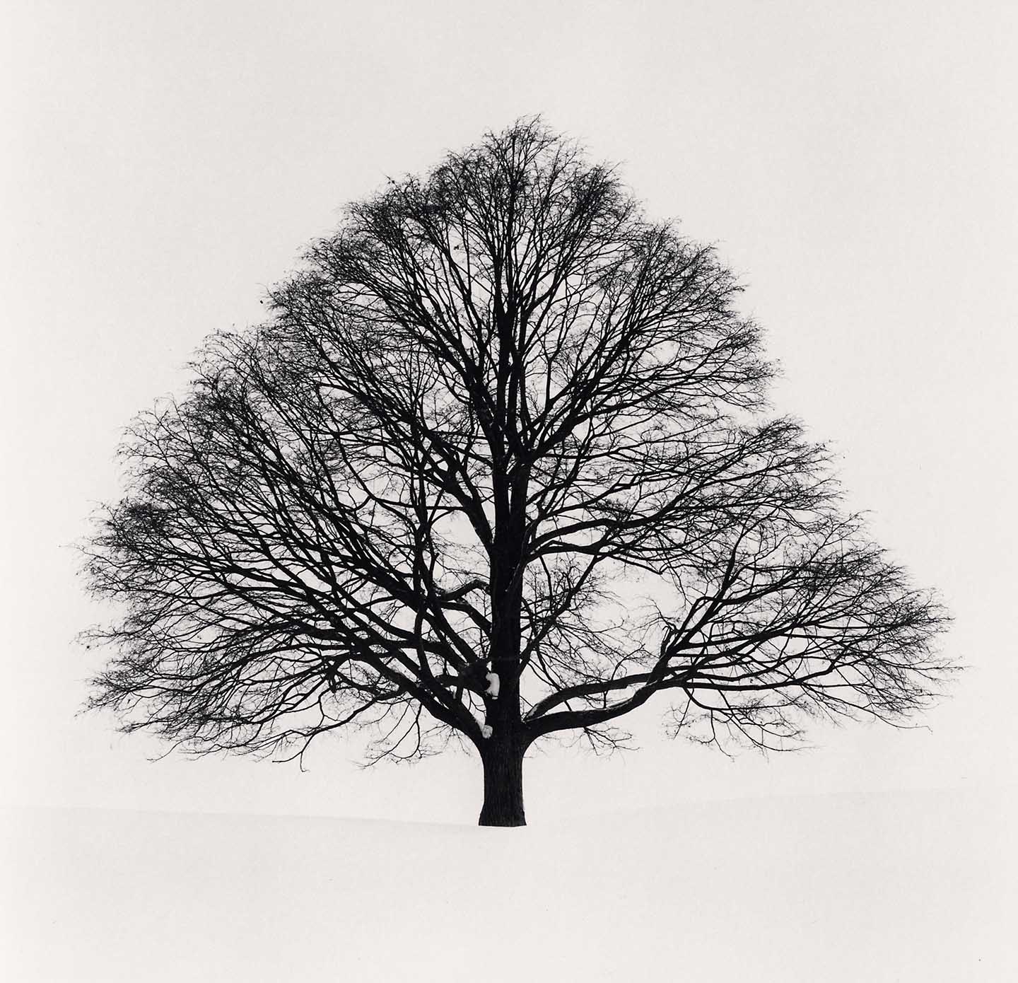 Michael Kenna, 'Cikisani Kamuy, Sorachi, Hokkaido, Japan, 2023'