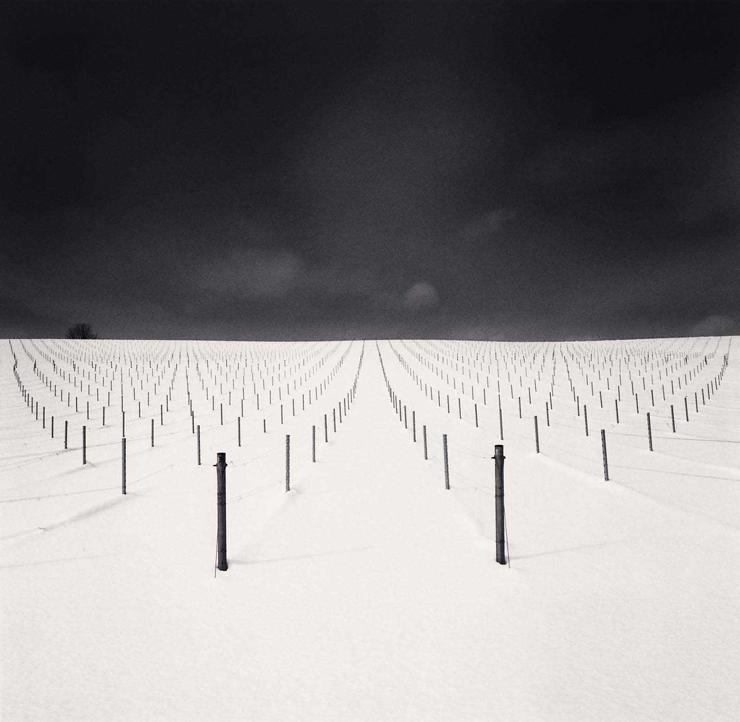 Michael Kenna, 'Field of Sticks, Kamikawa, Hokkaido, Japan, 2023'