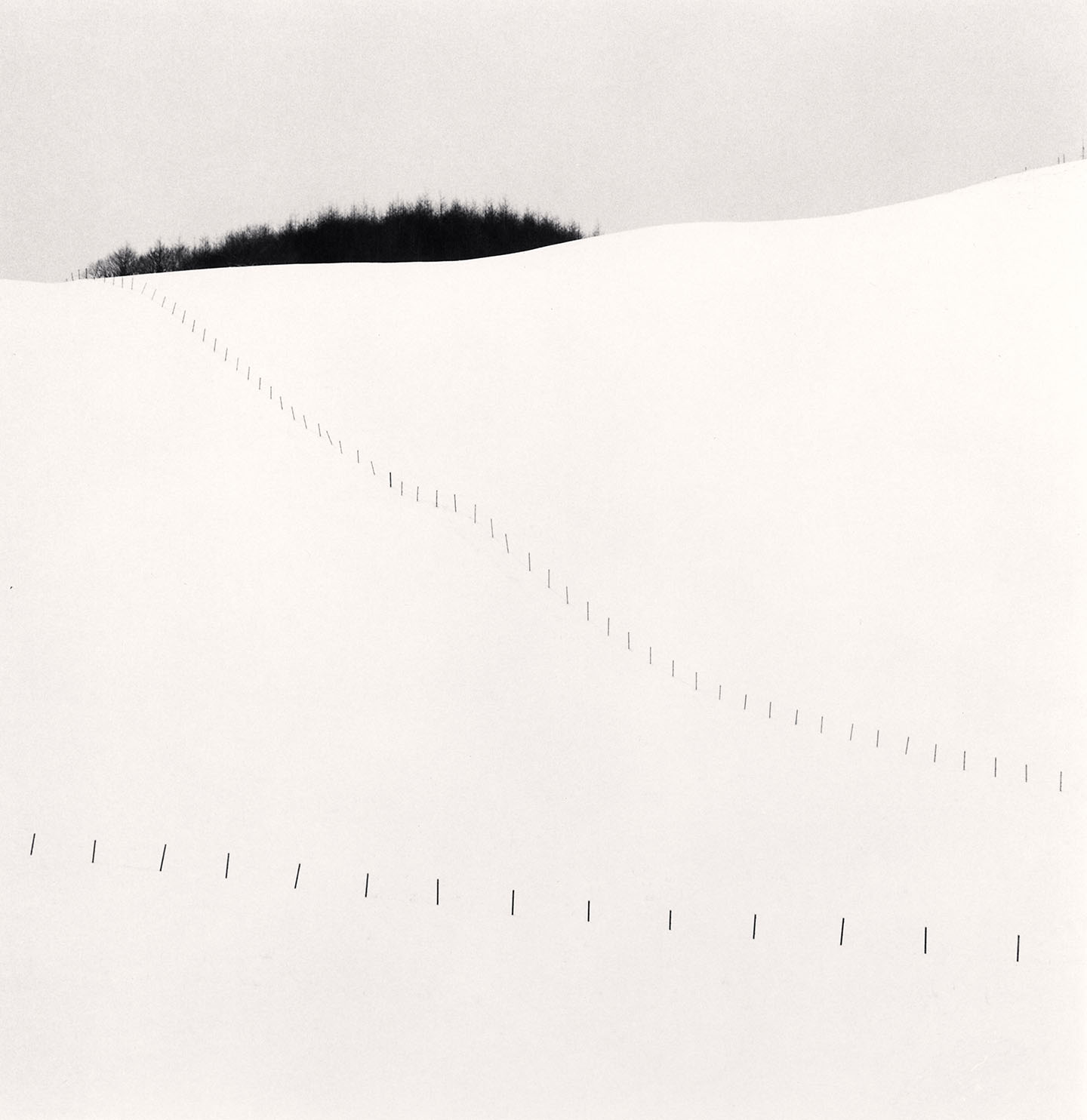 Michael Kenna, 'Hillside Fence, Study 9, Teshikaga, Hokkaido, Japan, 2023'