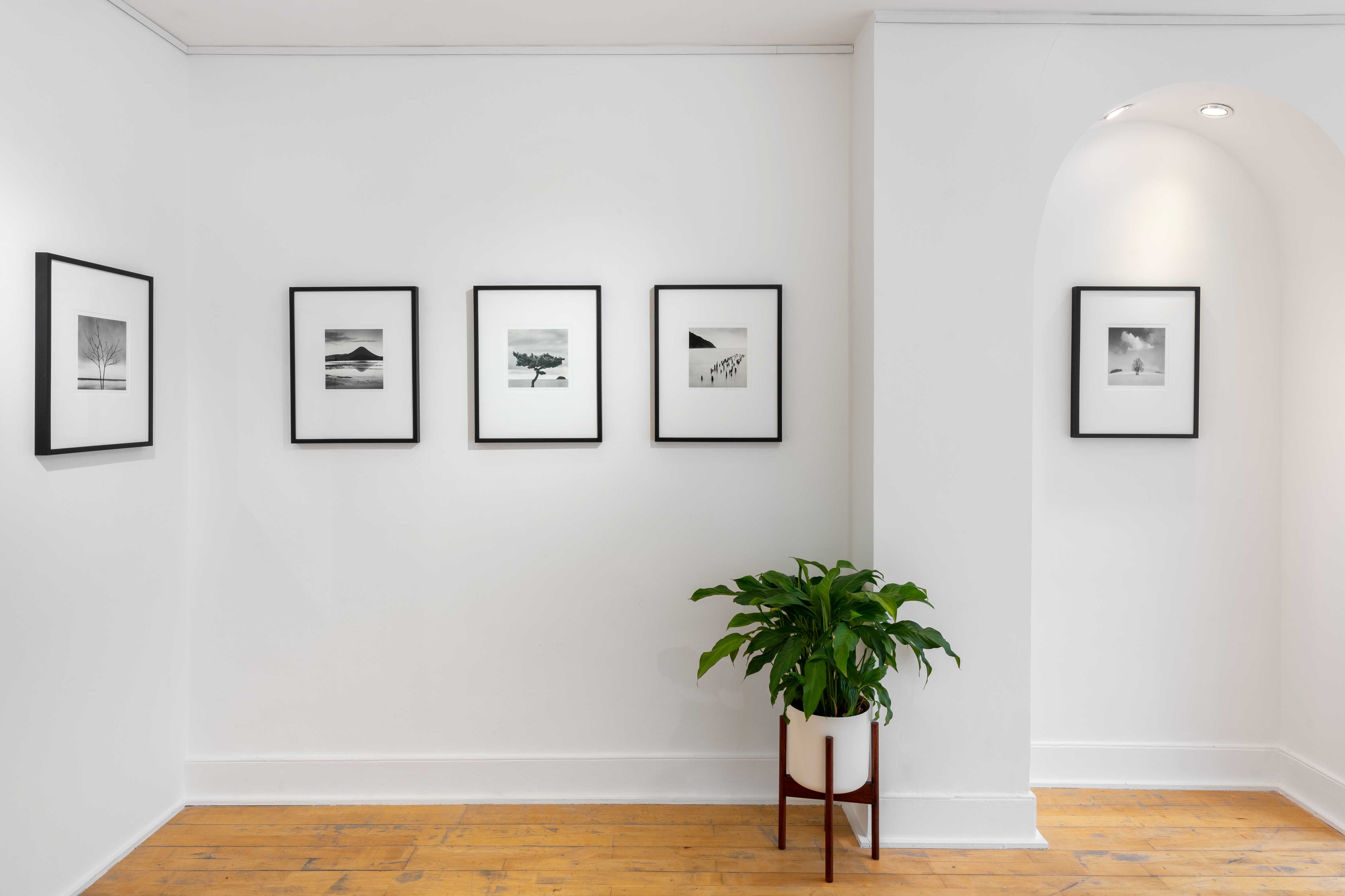 Michael Kenna, Installation Image: 'New Works From Japan'