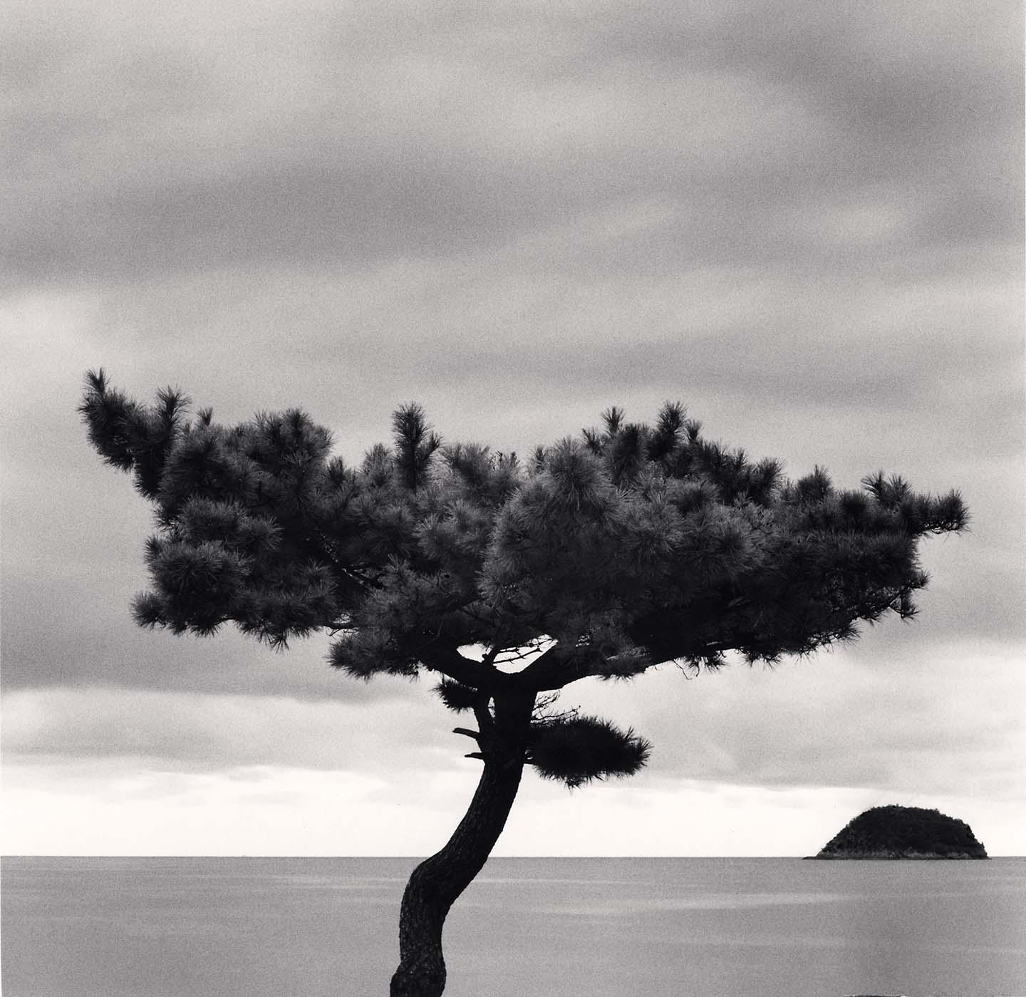 Michael Kenna, 'Pine Tree and Nago Island, Tsuda, Shikoku, Japan, 2022'
