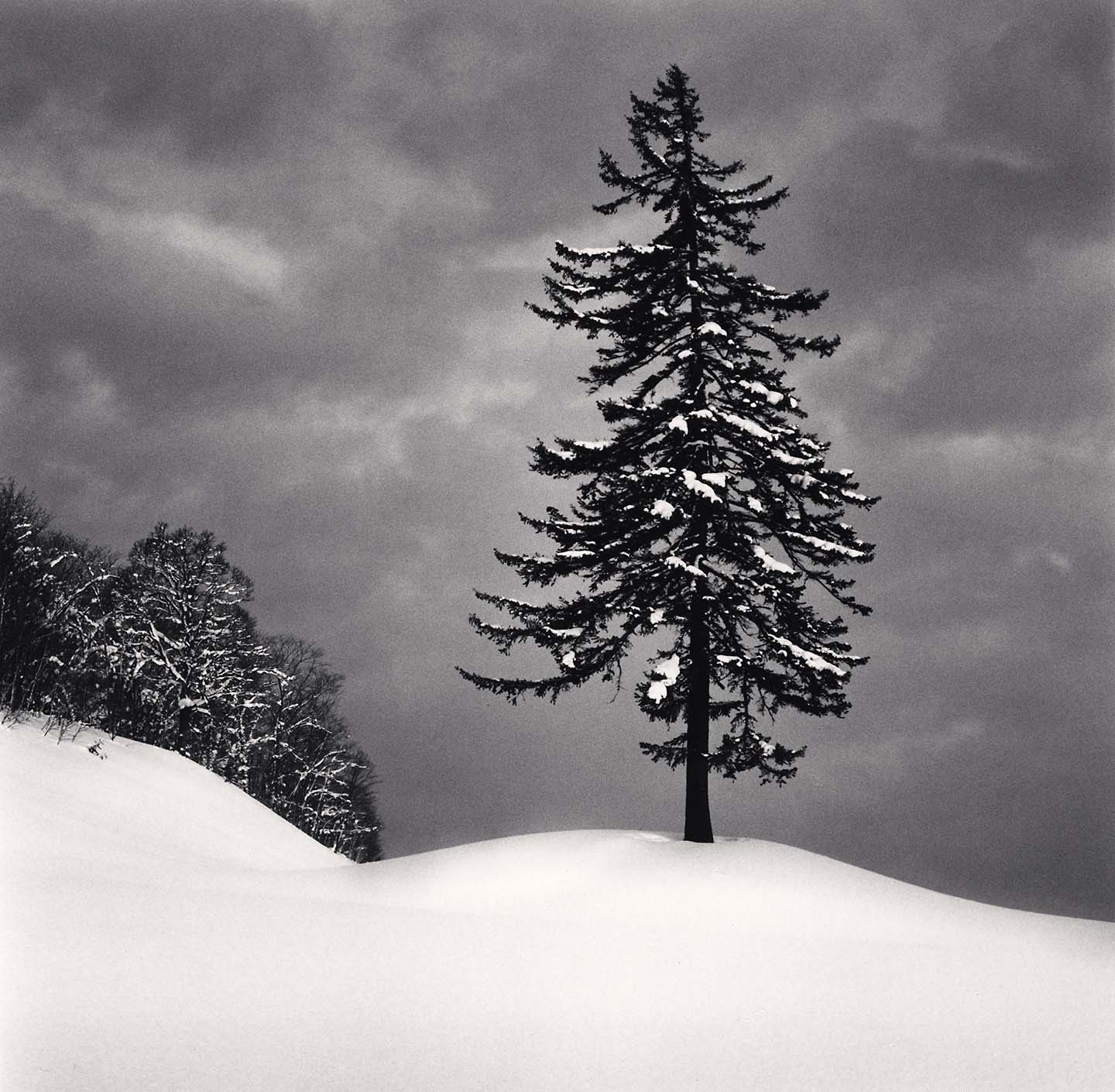 Michael Kenna, 'Spruce Tree and Snow Clouds, Esashi, Hokkaido, Japan, 2023'
