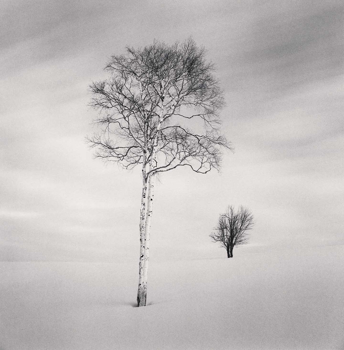 Michael Kenna, 'Twin Shirakanbas, Sorachi, Hokkaido, Japan, 2023'