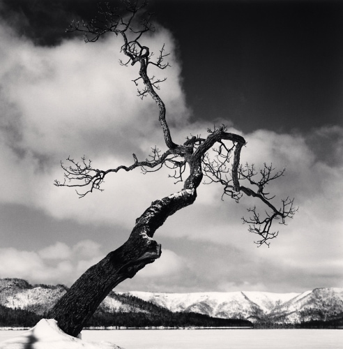 Michael Kenna, 'Kussharo Lake Tree, Study 11, Kotan, Hokkaido, Japan, 2004'