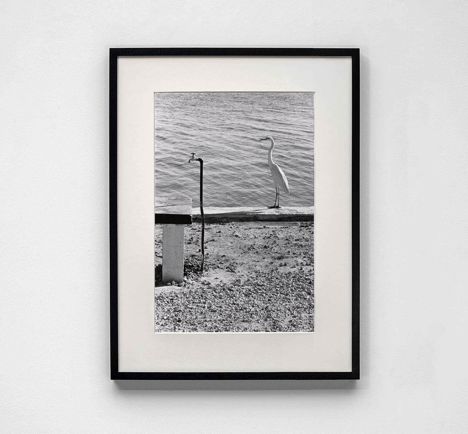 Elliott Erwitt: 'Florida Keys, 1968'