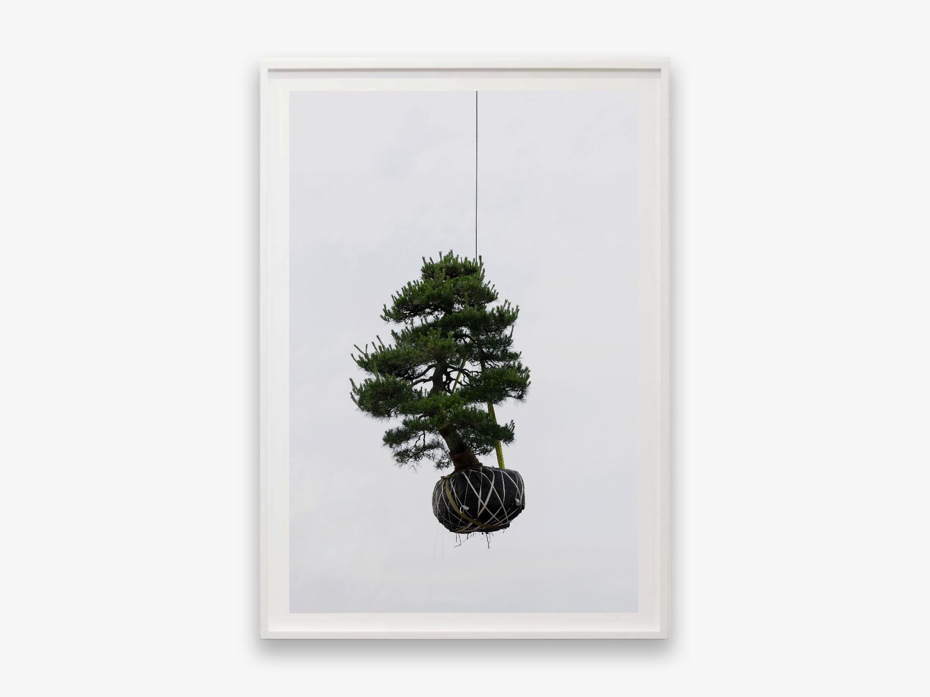 Zhang Kechun, 'Tree 01, Sky Garden, 2022'
