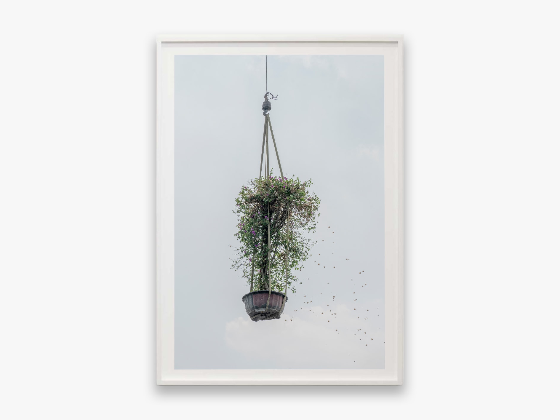 Zhang Kechun, 'Tree 02, Sky Garden, 2022'