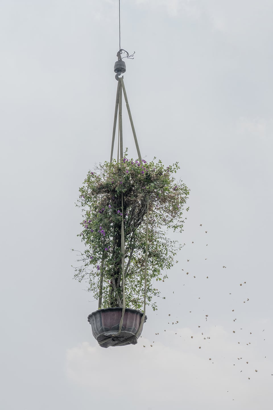 Zhang Kechun, 'Tree 02, Sky Garden, 2022'