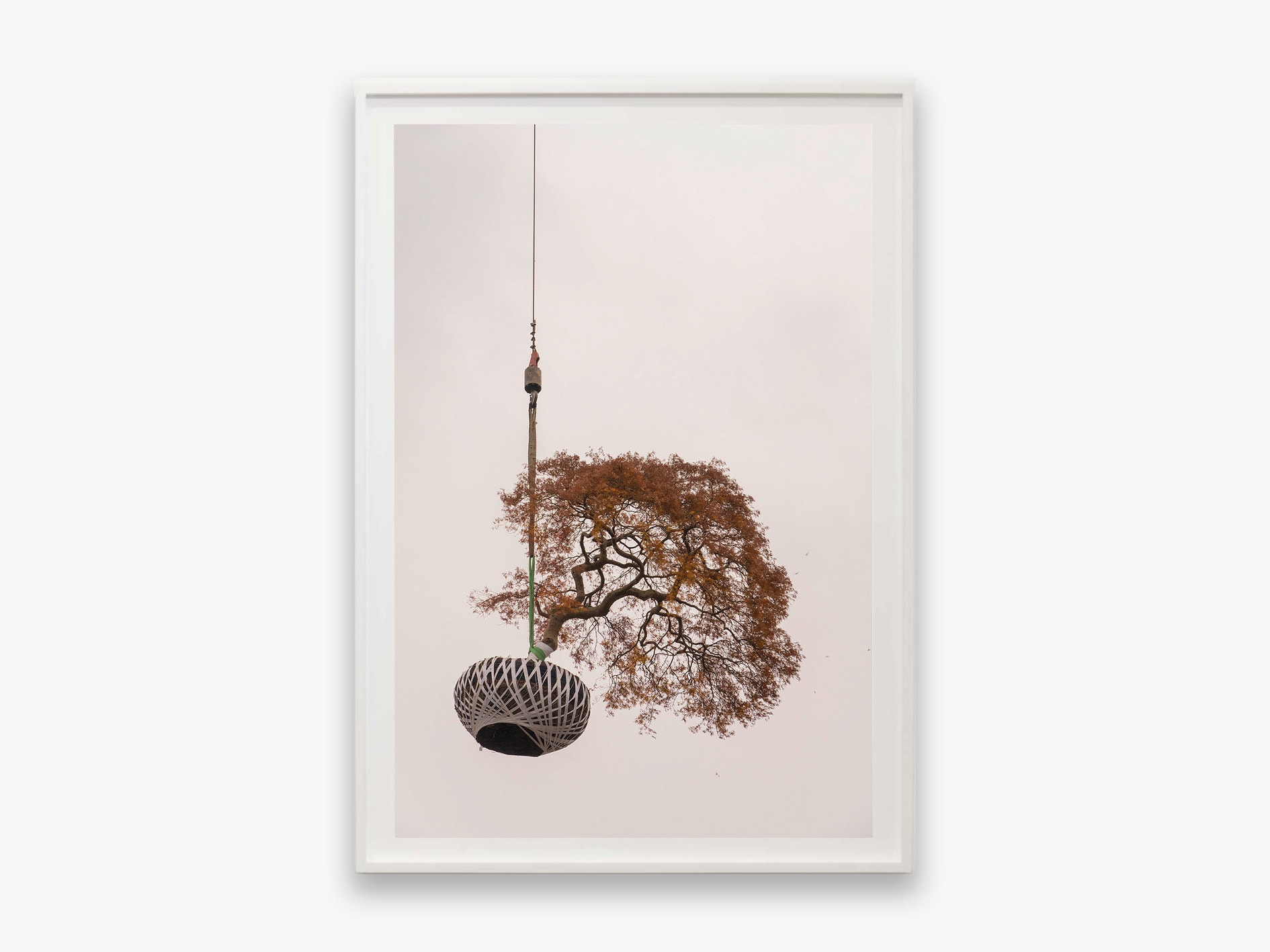 Zhang Kechun, 'Tree 03, Sky Garden, 2022'