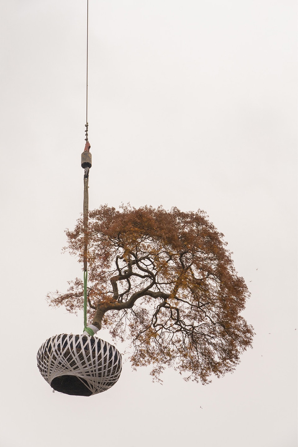 Zhang Kechun, 'Tree 03, Sky Garden, 2022'