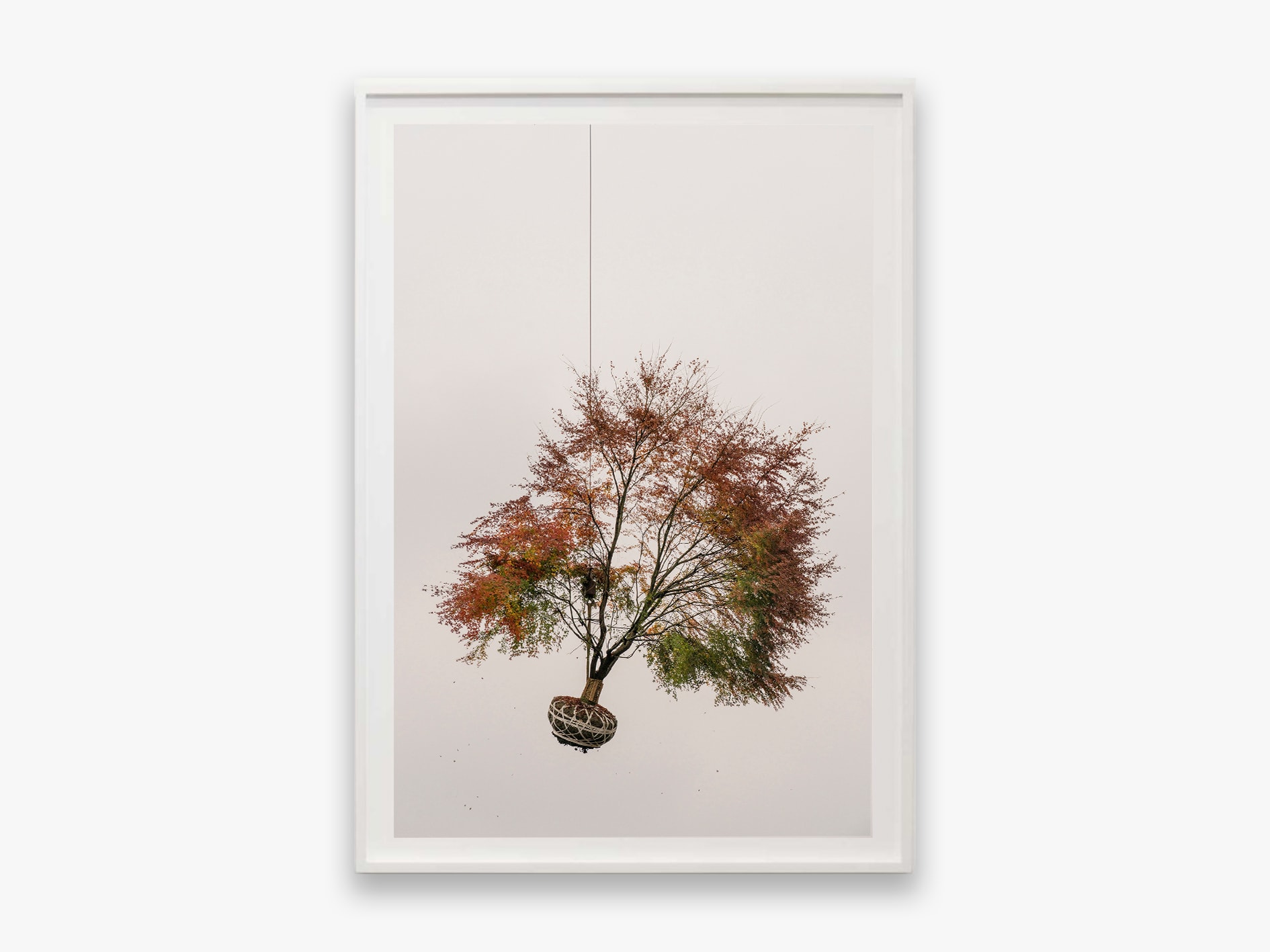 Zhang Kechun, 'Tree 04, Sky Garden, 2022'