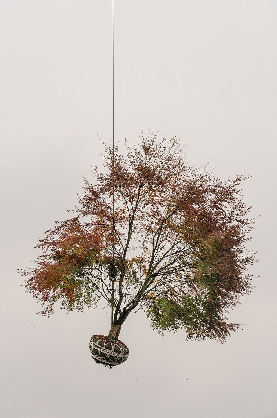 Zhang Kechun, 'Tree 04, Sky Garden, 2022'