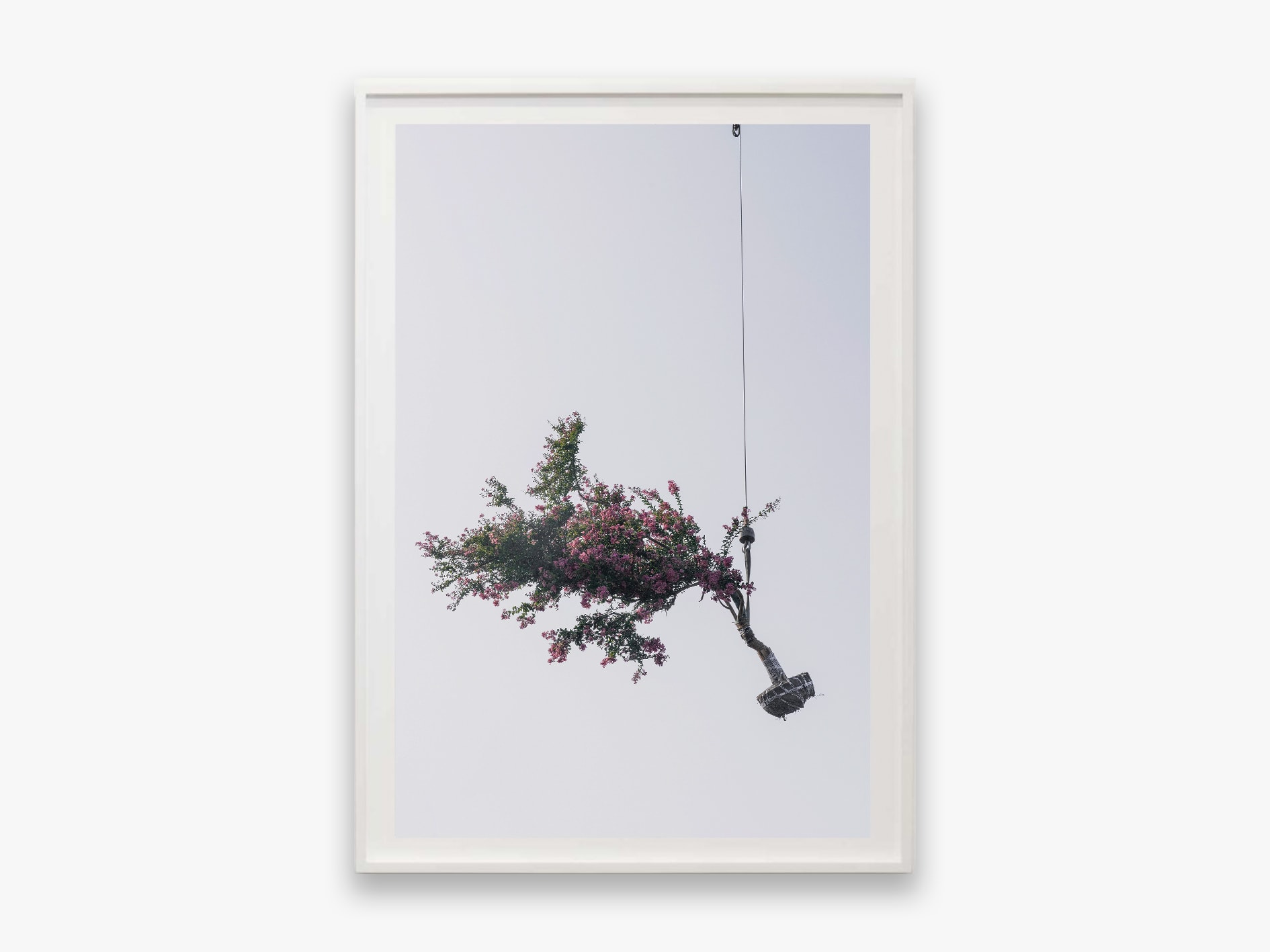 Zhang Kechun, 'Tree 06, Sky Garden, 2022'