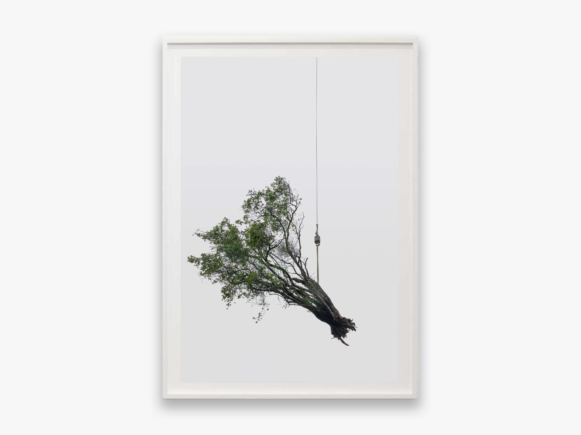 Zhang Kechun, 'Tree 07 Sky Garden, 2022'