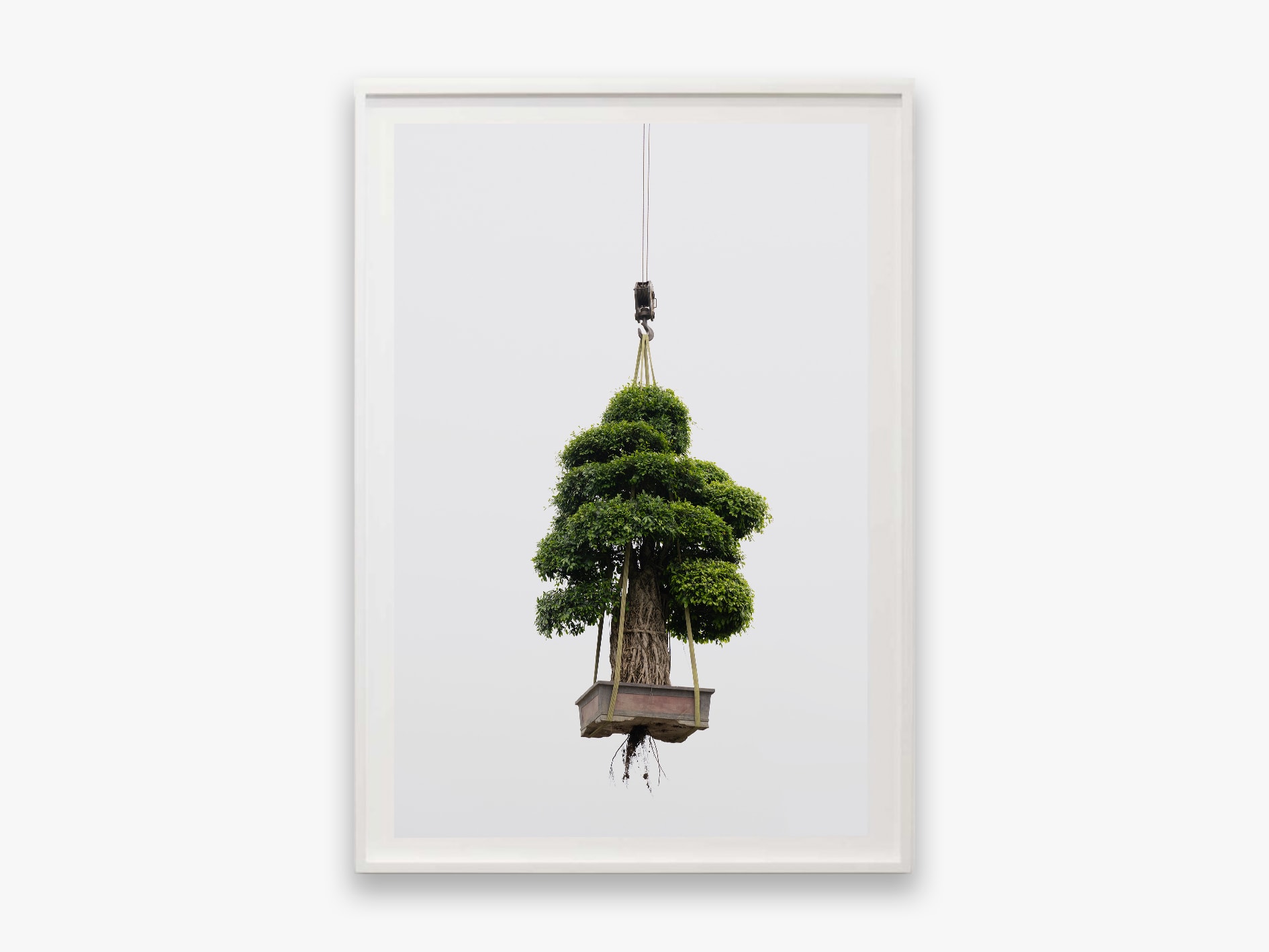 Zhang Kechun, 'Tree 12 Sky Garden, 2022'