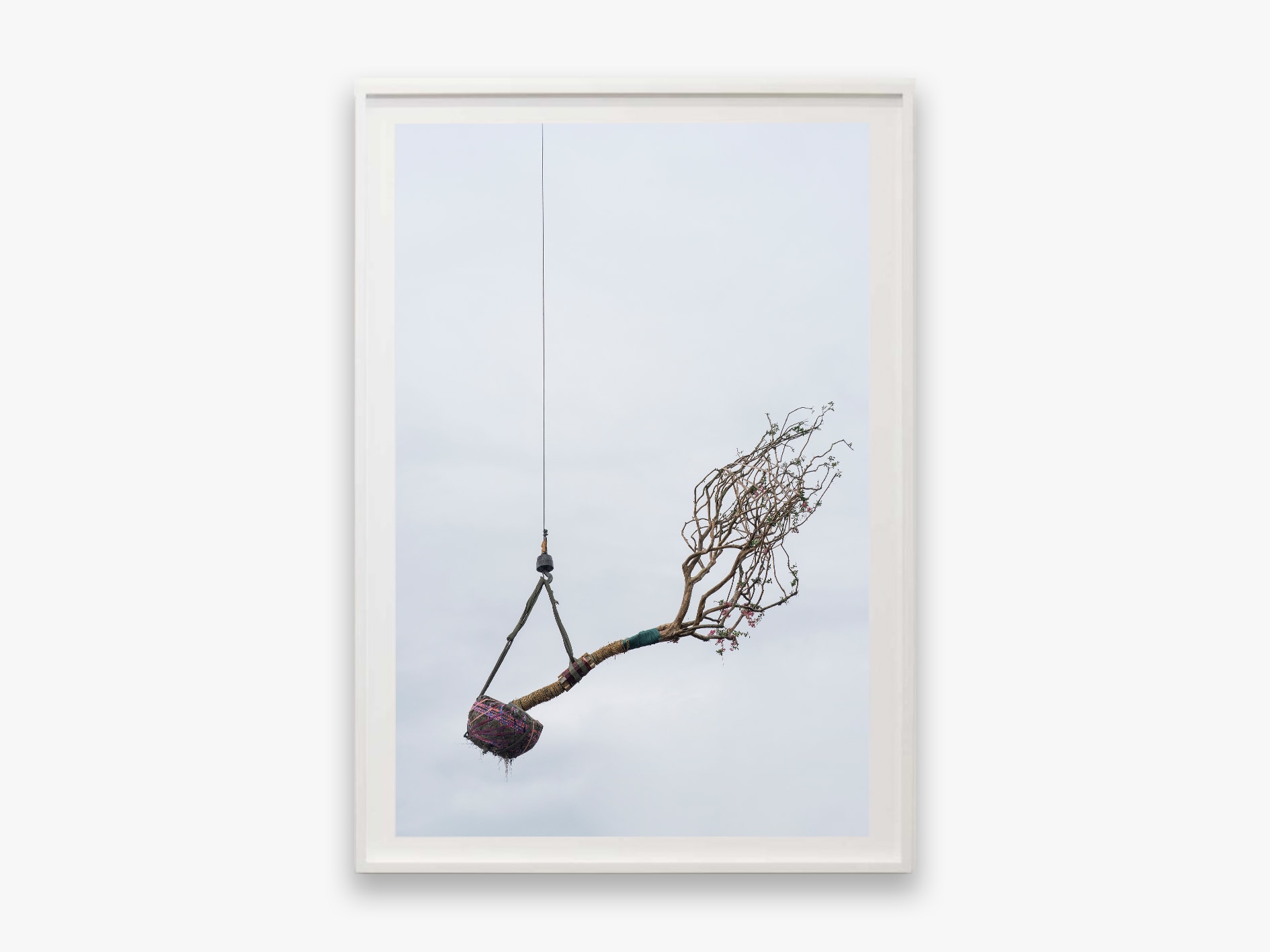 Zhang Kechun, 'Tree 16 Sky Garden, 2022'