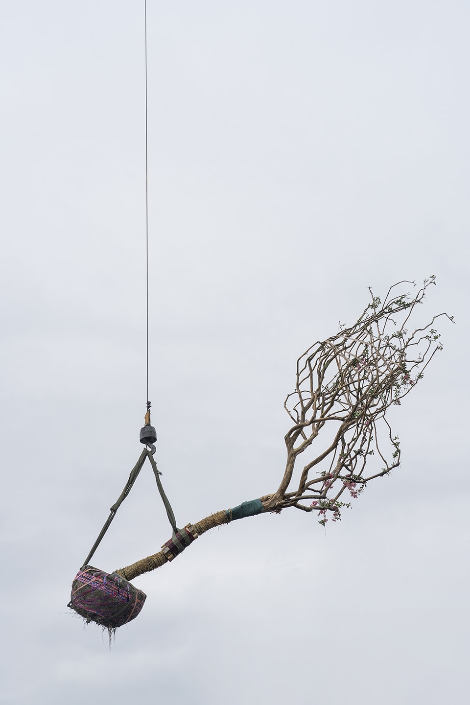 Zhang Kechun, 'Tree 16 Sky Garden, 2022'