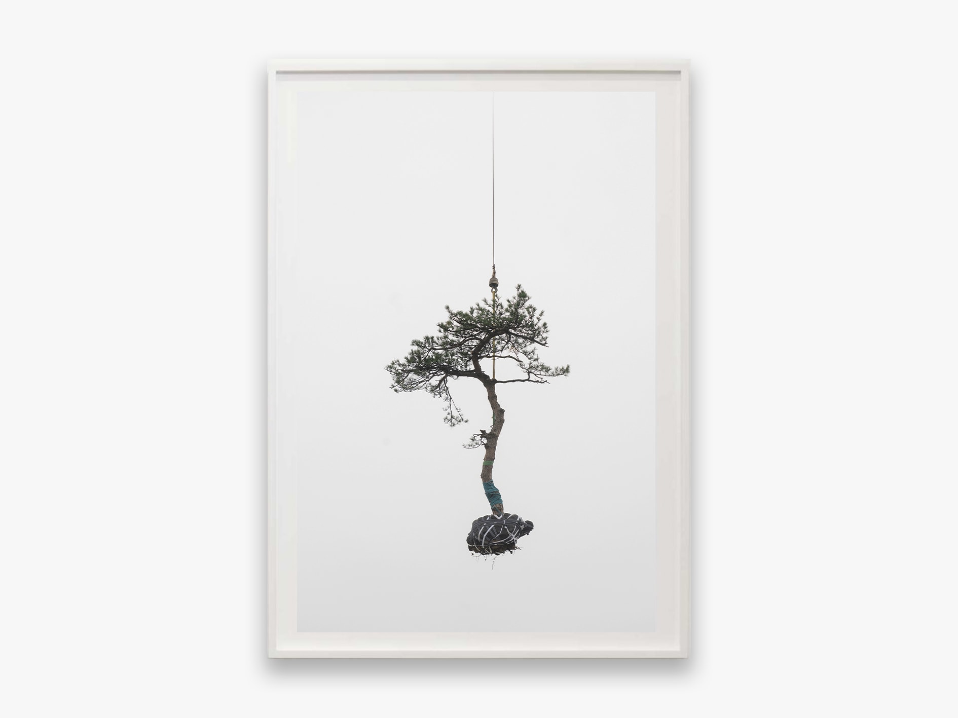 Zhang Kechun, 'Tree 17 Sky Garden, 2022'