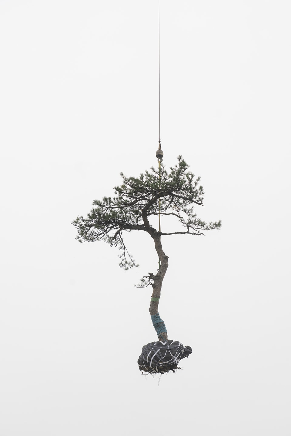 Zhang Kechun, 'Tree 17 Sky Garden, 2022'