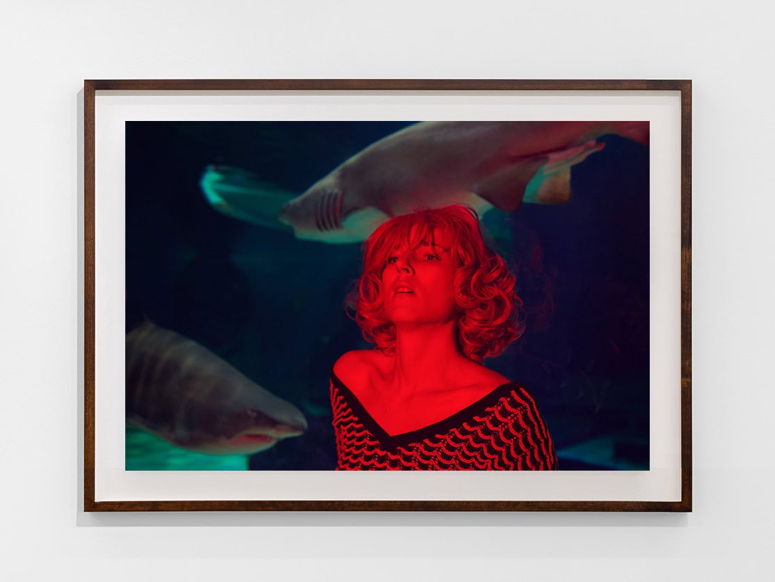 Kourtney Roy: 'Man Eater, Last Paradise'