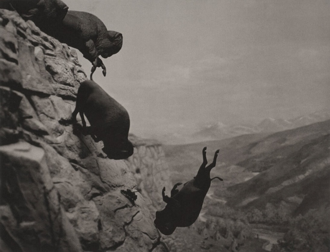 David Wojnarowicz, ‘Untitled (Buffaloes)’