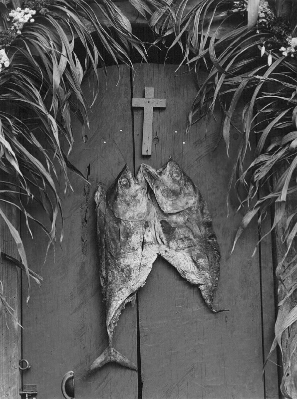 Flor Garduño, 'Emblema, México, 1987'